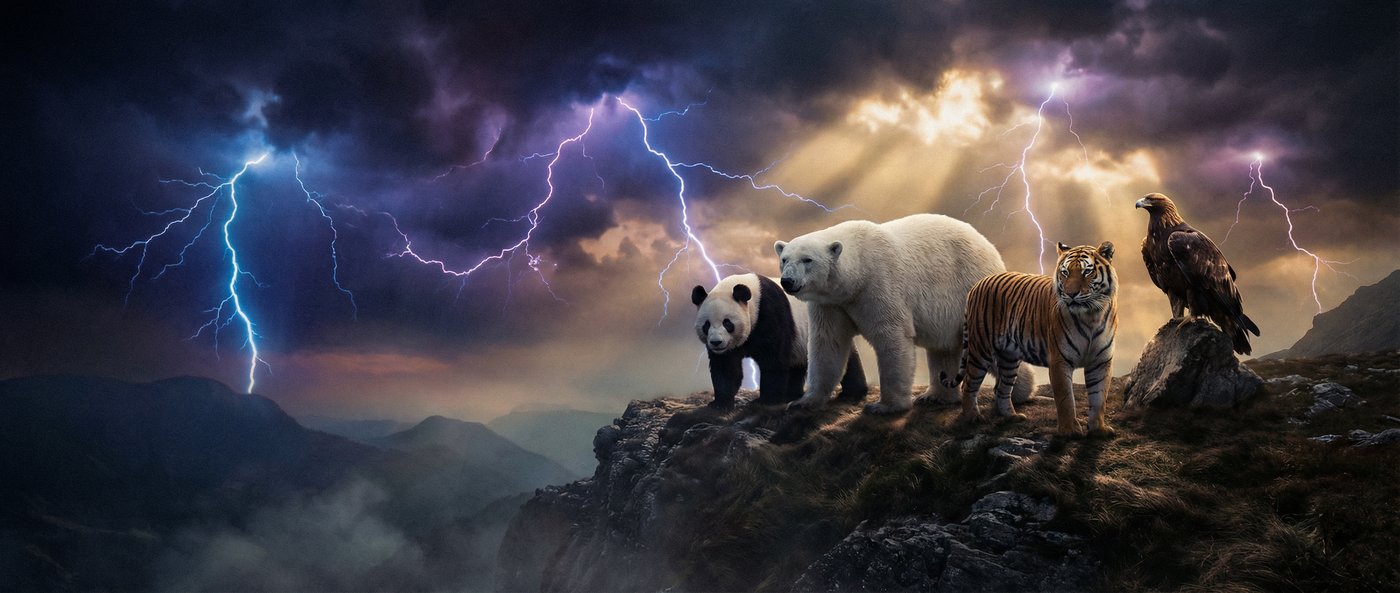 淫乱动物写真视频社区